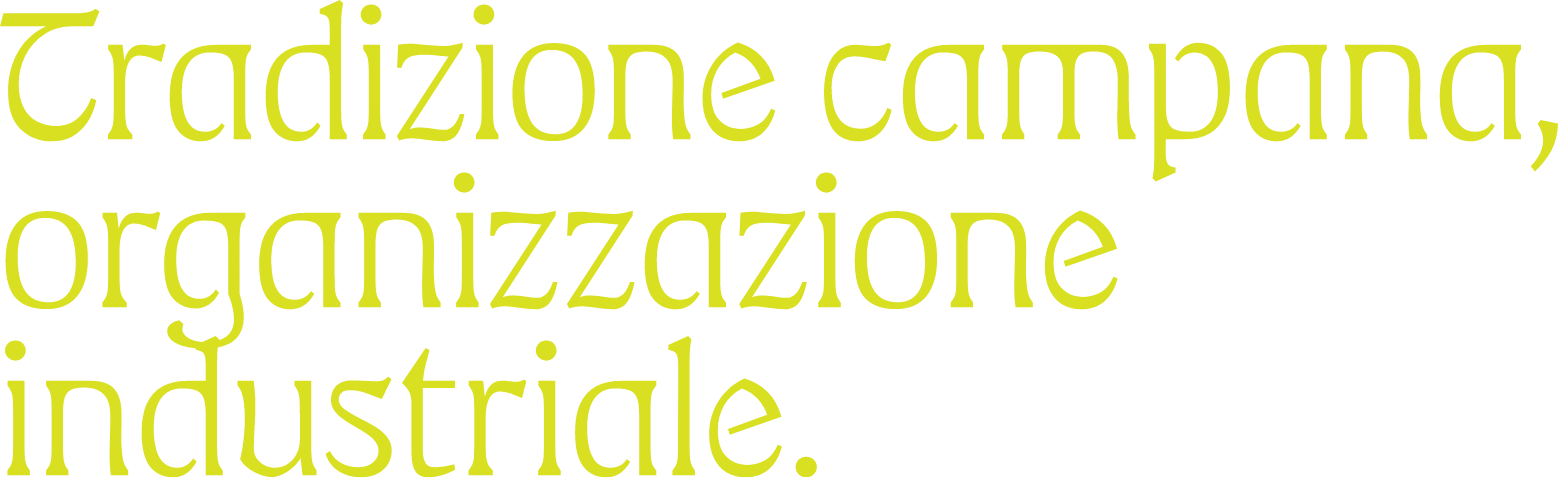 Tradizione campana, organizzazione industriale.